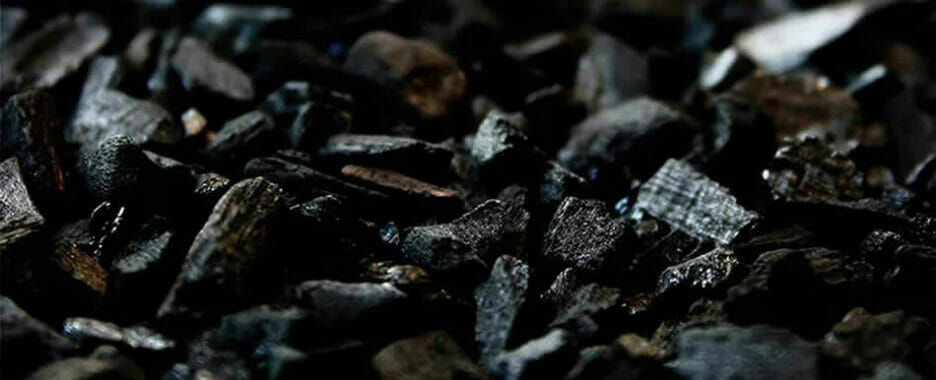 Qué es el carbón vegetal? Origen, beneficios y posología