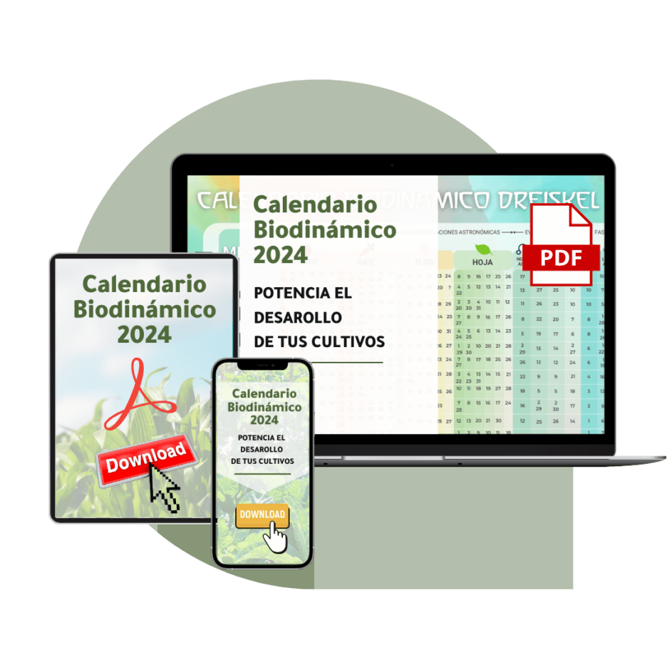 Calendario Agenda Lunario 2024: la guía para cultivar según el ritmo  biodinámico : Sudoku Srl: : Oficina y papelería