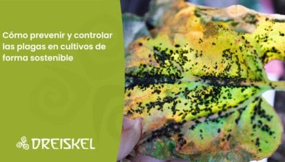 Dreiskel Biodinámica - Cómo prevenir y controlar las plagas en cultivos de forma sostenible