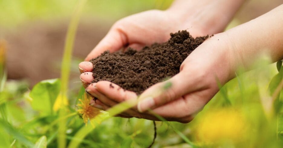 Manos sosteniendo tierra fértil, demostrando la mejora de la calidad del suelo en verano con bioestimulantes naturales