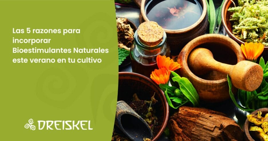 Dreiskel Biodinámica - Las 5 razones para incorporar Bioestimulantes este verano en tu cultivo