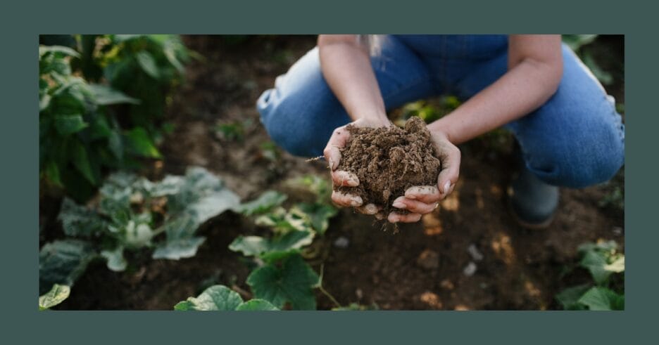 Mujer sosteniendo tierra de calidad con buena fertilización de la tierra